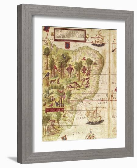 Map of Brazil, from Miller Atlas by Pedro and Jorge Reinel, Lopo Homen-null-Framed Giclee Print