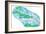 Map of Caribbean Islands-Jennifer Thermes-Framed Photographic Print