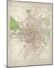 Map of Dublin-The Vintage Collection-Mounted Giclee Print