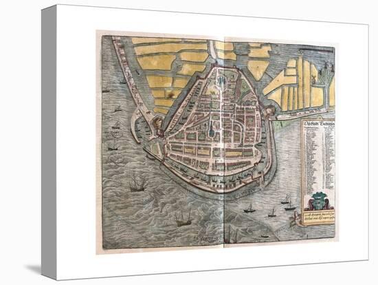 Stretched Canvas Print, , large