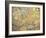 Map of Europe 1686-Joan Blaeu-Framed Giclee Print