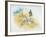 Map of German Tribe Crossing the Rhine River-null-Framed Giclee Print