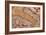 Map of Italy from Theatrum Orbis Terrarum-Abraham Ortelius-Framed Giclee Print