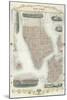 Map of New York-John Rapkin-Mounted Premium Giclee Print