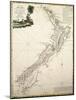 Map of New Zealand by Antonio Zatta According to Discoveries of James Cook, Venice 1778-null-Mounted Giclee Print