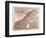 Map of Norway and Sweden, 1872-null-Framed Giclee Print