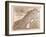 Map of Norway and Sweden, 1872-null-Framed Giclee Print