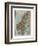 Map of Norway and Sweden, c19th century-Unknown-Framed Giclee Print