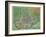 Map of Padua, from Civitates Orbis Terrarum by Georg Braun-Joris Hoefnagel-Framed Giclee Print