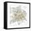 Map of Petersburg-null-Framed Premier Image Canvas