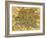 Map of Rome, 1500s-Science Source-Framed Giclee Print