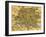 Map of Rome, 1500s-Science Source-Framed Giclee Print