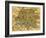 Map of Rome, 1500s-Science Source-Framed Giclee Print