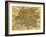 Map of Rome, 1500s-Science Source-Framed Giclee Print