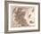 Map of Scotland, 1872-null-Framed Giclee Print