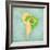 Map Of South America - Brazil (Vintage Series)-Tindo-Framed Art Print