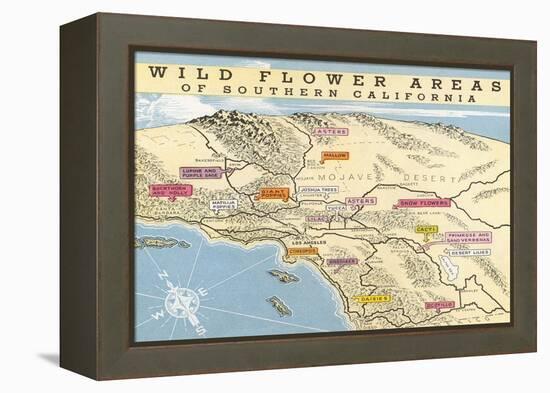 Map of Southern California Wild Flower Areas-null-Framed Stretched Canvas