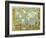 Map of the British Empire in 1886-Walter Crane-Framed Giclee Print