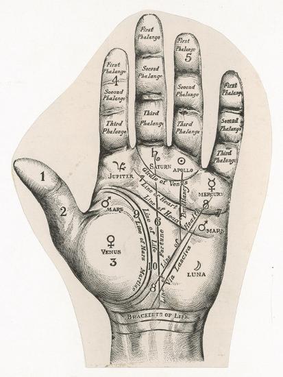'Map of the Hand' Art Print | Art.com