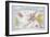 Map of the Loire Region: Pouilly-Sur-Loire-null-Framed Giclee Print