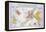 Map of the Loire Region: Pouilly-Sur-Loire-null-Framed Premier Image Canvas