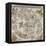 Map of the Northern Sky-Albrecht Dürer-Framed Premier Image Canvas