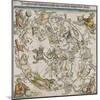 Map of the Northern Sky-Albrecht Dürer-Mounted Giclee Print