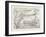 Map of the Seat of War, Egypt, 1882-null-Framed Giclee Print