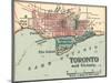 Map of Toronto (C. 1900), Maps-Encyclopaedia Britannica-Mounted Art Print