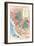 Map of Wine Country-null-Framed Premium Giclee Print