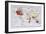 Map Showing the Extent of the British Empire Circa 1880-null-Framed Art Print