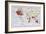 Map Showing the Extent of the British Empire Circa 1880-null-Framed Art Print