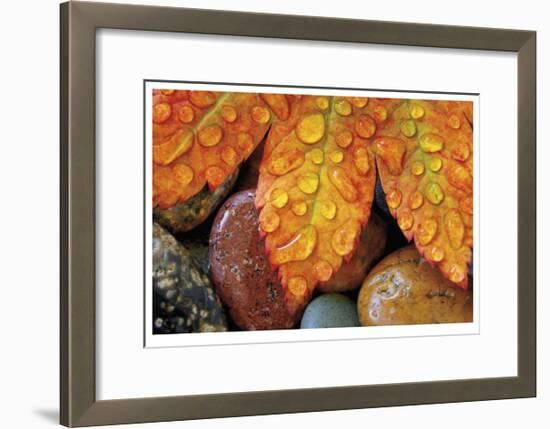 Maple and Dew I-Donald Paulson-Framed Giclee Print