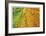 Maple and Dew III-Donald Paulson-Framed Giclee Print