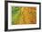 Maple and Dew III-Donald Paulson-Framed Giclee Print