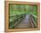 Maple Glade Trail Wooden Bridge, Quinault Rain Forest, Olympic National Park, Washington, USA-Jamie & Judy Wild-Framed Premier Image Canvas