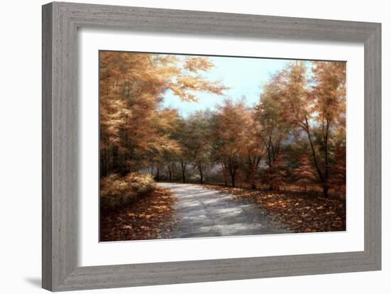 Maple Lane-Diane Romanello-Framed Art Print