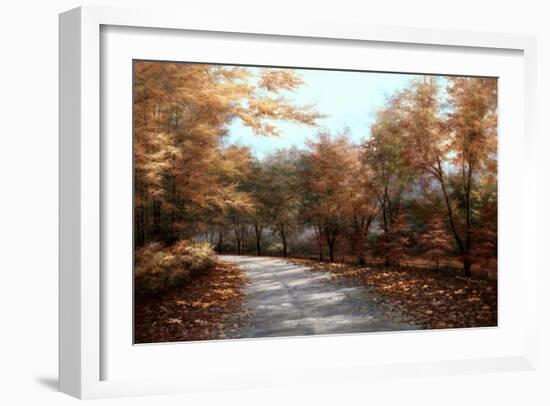 Maple Lane-Diane Romanello-Framed Art Print