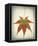 Maple Leaf I-Kathy Mahan-Framed Stretched Canvas