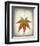 Maple Leaf I-Kathy Mahan-Framed Photo