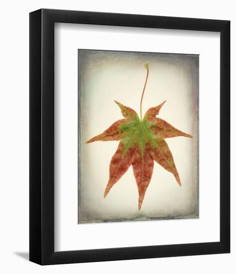 Maple Leaf I-Kathy Mahan-Framed Photo