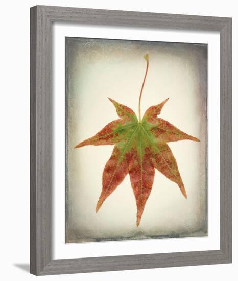 Maple Leaf I-Kathy Mahan-Framed Photo