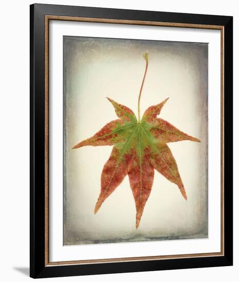 Maple Leaf I-Kathy Mahan-Framed Photo