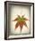 Maple Leaf I-Kathy Mahan-Framed Photo