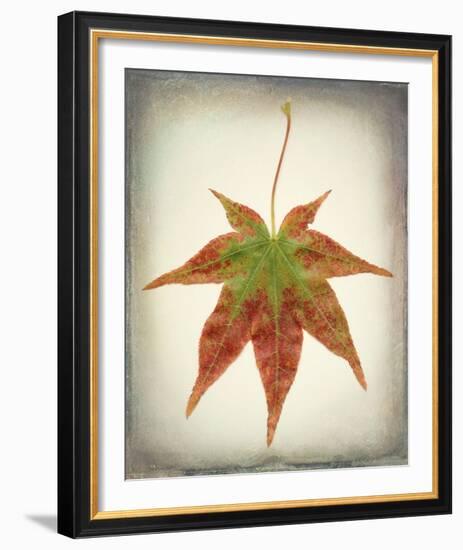 Maple Leaf I-Kathy Mahan-Framed Photo