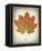 Maple Leaf II-Kathy Mahan-Framed Stretched Canvas