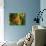 Maple Leaf on Moss-null-Photographic Print displayed on a wall