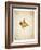 Maple leaf on yellowed paper, beige-Axel Killian-Framed Photographic Print