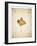 Maple leaf on yellowed paper, beige-Axel Killian-Framed Photographic Print