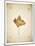 Maple leaf on yellowed paper, beige-Axel Killian-Mounted Photographic Print